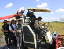 Pemerintah Indonesia Mencatat, Tembus 4 Juta Ton Stok Cadangan Beras