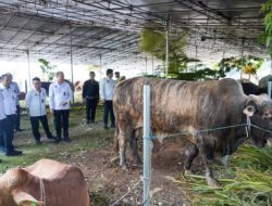 Tim Pantau Kemenko Polkam Kunjungi Masjid Istqlal