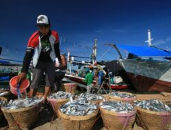 JISTE 2025, Transaksi Hasil Laut Indonesia Tembus Rp.2 Triliun Lebih