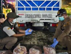 10,8 Ton Produk Ceker ayam Ilegal di Amankan Badan Karantina Indonesia