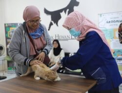Warga Punya Peliharaan, Ada Layanan Kesehatan Hewan Gratis di Puskeswan Pemkot Tangerang 