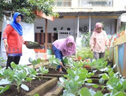 Pemkot Tangerang Salurkan Bantuan Pertanian Kepada Kelompok Wanita Tani