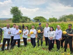 Kemenko Polkam Perkuat Ketahanan Pangan Daerah di Tengah Dinamika Kawasan Indo Pasifik