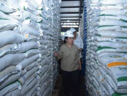 Komisi IV DPR-RI Kunker ke Gudang Bulog Mandalika Kota Mataram