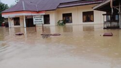 Update! BNPB Keluarkan Data Kondisi Akses Dampak Bencana Banjir di Aceh