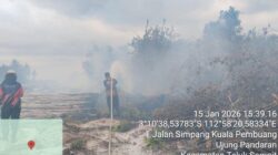 BNPB Rangkum Sejumlah Bencana Kebakaran, Begini Laporan Penanganan Pemda  