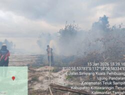 BNPB Rangkum Sejumlah Bencana Kebakaran, Begini Laporan Penanganan Pemda  