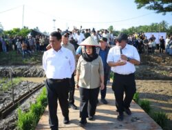 Pemerintah Klaim, Stok Beras di Aceh Tinggi