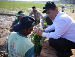 Kementan-RI Rehabilitasi 98.000 Hektar Sawah Pascabencana di Sumatera