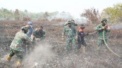 Antisipasi Dampak Lebih Luas, Danrem 012/TU Tinjau Kebakaran Lahan di Suak Raya