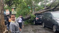Petugas Gabungan Pemko Tangerang Sigap Atasi Genangan Air dan Pohon Tumbang