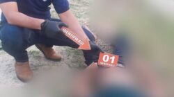 Polres Simalungun Ungkap Pembunuhan Chu Wen Lee di Cafe Tuak 