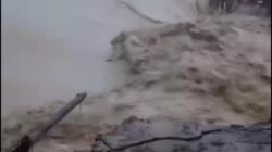 34 Desa di Grobogan di Landa Banjir, Tanggul Sungai Jebol 15 Meter