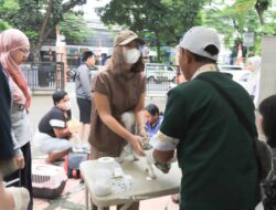 Pemkot Tangerang Gelar Program Vaksinasi Gratis Untuk Hewan Piaraan 