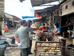 Kementan Sidak Pasar di Tapanuli Utara dan Toba, Harga dan Pasokan Ayam dan Telur Terkendali