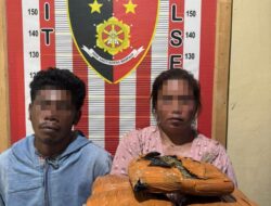 5 Kg Ganja yang Nyaris Beredar di Barus, Begini Polisi Jelaskan Kronologinya 