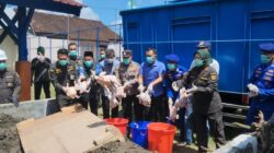 Karantina NTB Musnahkan 5,9 Ton Daging Ayam Tidak Layak