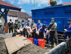 Karantina NTB Musnahkan 5,9 Ton Daging Ayam Tidak Layak
