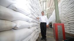 Kementan-RI Buktikan Stok Beras Melimpah, Dapat Pujian Dari Pengamat Politik