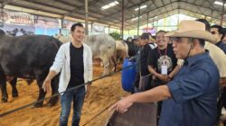 Kontes Sapi APPSI Wonosobo Piala Ketua MPR-RI, Wamentan : Peningkatan Kualitas Peternak Sapi