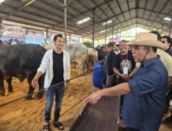 Kontes Sapi APPSI Wonosobo Piala Ketua MPR-RI, Wamentan : Peningkatan Kualitas Peternak Sapi