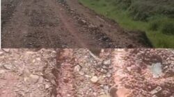 “Dikerjakan Asal Jadi”, Proyek Pengerasan Jalan Produksi di Afdeling III Kebun Ajamu 1 Tuai Sorotan