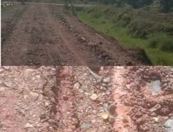 “Dikerjakan Asal Jadi”, Proyek Pengerasan Jalan Produksi di Afdeling III Kebun Ajamu 1 Tuai Sorotan