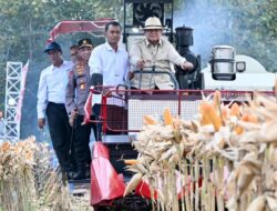 Presiden Prabowo Pimpin Panen Raya Jagung 189.760 Hektar di Berbagai Daerah