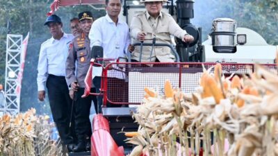 Presiden Prabowo Pimpin Panen Raya Jagung 189.760 Hektar di Berbagai Daerah