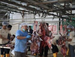 Idul Adha 1447 H/2026 M, KPPU Sembelih 15 Ekor Kambing Kurban