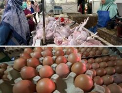 BPS : Harga Ayam, Telur, dan Cabai Turun, Tekan Laju Inflasi April