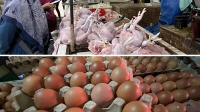 BPS : Harga Ayam, Telur, dan Cabai Turun, Tekan Laju Inflasi April