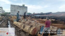 Tim Gabungan Gakkum Kehutanan Amankan Ribuan Batang Kayu ‘Ilegal’ di Asahan