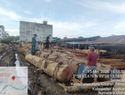 Tim Gabungan Gakkum Kehutanan Amankan Ribuan Batang Kayu ‘Ilegal’ di Asahan