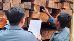 Dirjen Gakkum Kehutanan Limpahkan 3 Tersangka Perkara Kayu Ilegal Lintas Provinsi Ke Jaksa