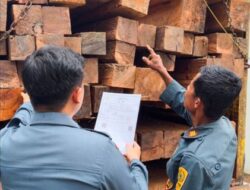 Dirjen Gakkum Kehutanan Limpahkan 3 Tersangka Perkara Kayu Ilegal Lintas Provinsi Ke Jaksa