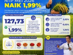 Kementan-RI Klaim, Nilai Tukar Petani Per-Bulan Mei 2026 Capai 127,73 Persen