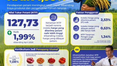 Kementan-RI Klaim, Nilai Tukar Petani Per-Bulan Mei 2026 Capai 127,73 Persen