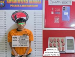 Bawa Puluhan “Pil Ekstasi”, Warga Pulo Padang di Tangkap Polisi