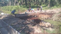 Kualitas Proyek Titi Bertulang Senilai Rp.520 Juta di PTPN IV Panai Jaya di Pertanyakan ?