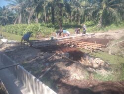 Kualitas Proyek Titi Bertulang Senilai Rp.520 Juta di PTPN IV Panai Jaya di Pertanyakan ?