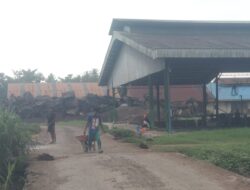 Diduga Gunakan Air Limbah Hitam untuk Campuran Cor, Proyek Pagar Beton PKS Ajamu di Pertanyakan