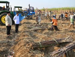 Pimpin Panen Raya Serentak 3 Komoditas, Presiden Prabowo: Target Swasembada Pangan Tercapai