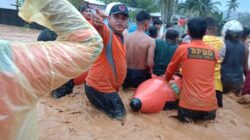 Banjir Bandang Rendam 7 Kelurahan di Tapanuli Tengah, 145 Warga Mengungsi