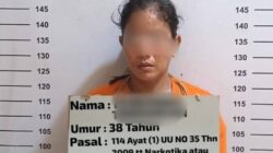 Diduga Edarkan Sabu, Seorang Perempuan Diamankan Polisi 