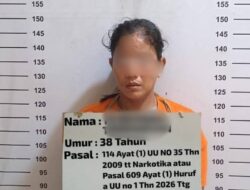 Diduga Edarkan Sabu, Seorang Perempuan Diamankan Polisi 