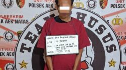 Terduga Pengedar Sabu 1,73 Gram Diamankan di Labura