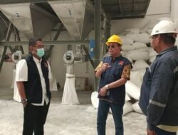 KPPU Temukan Pasokan Ubi Kayu Terbatas, Produksi Tapioka di Lampung Belum Optimal