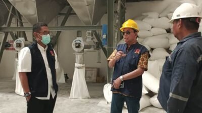 KPPU Temukan Pasokan Ubi Kayu Terbatas, Produksi Tapioka di Lampung Belum Optimal