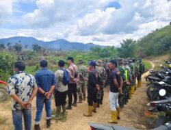 BNPB: Karhutla Melanda 4 Provinsi, Luas Lahan Terbakar Capai Puluhan Hektare